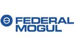 Ferderal Mogul